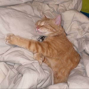 Meet your Posher, Jacob urbanek